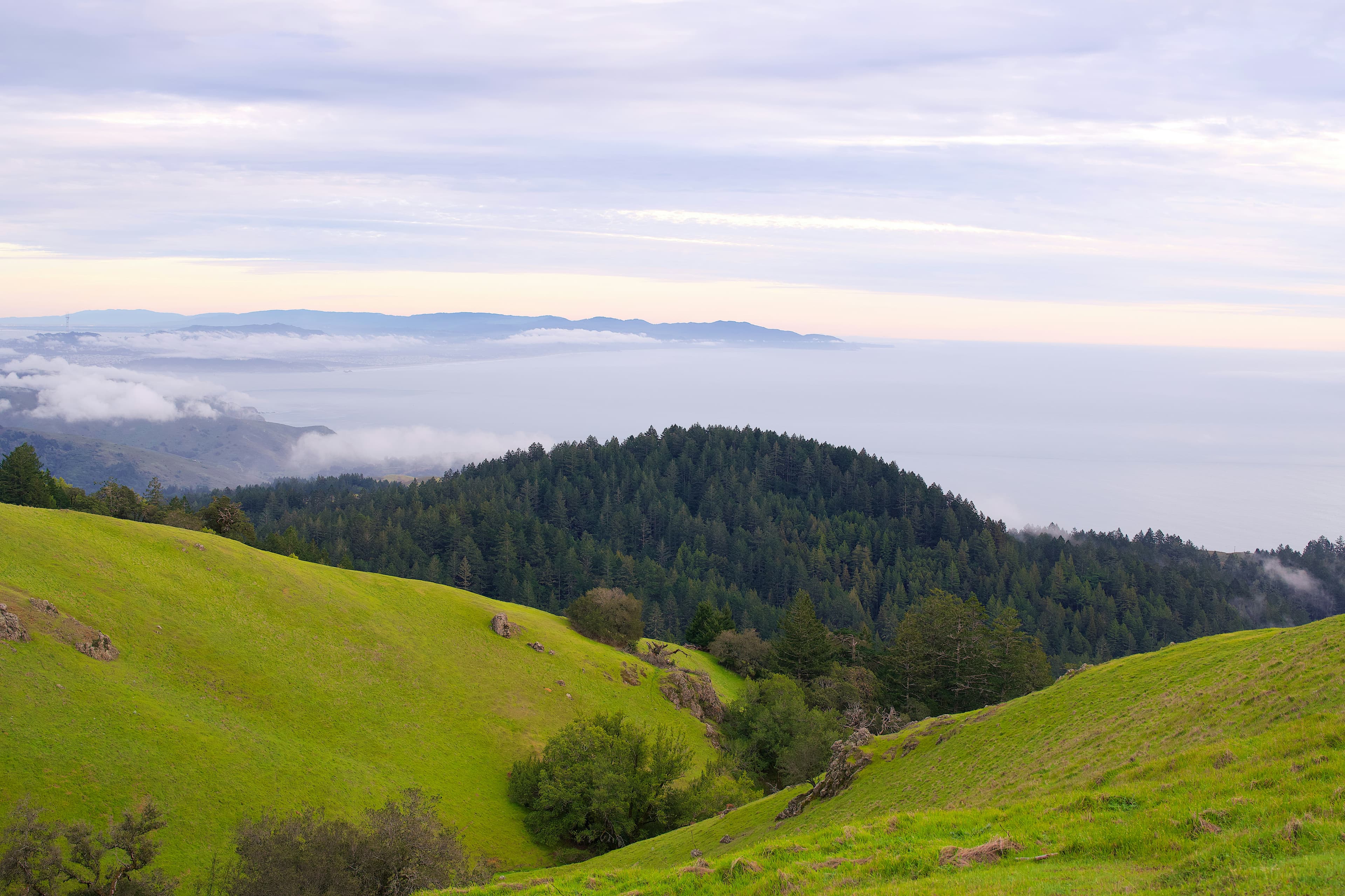 Mt. Tam Trail Stewards