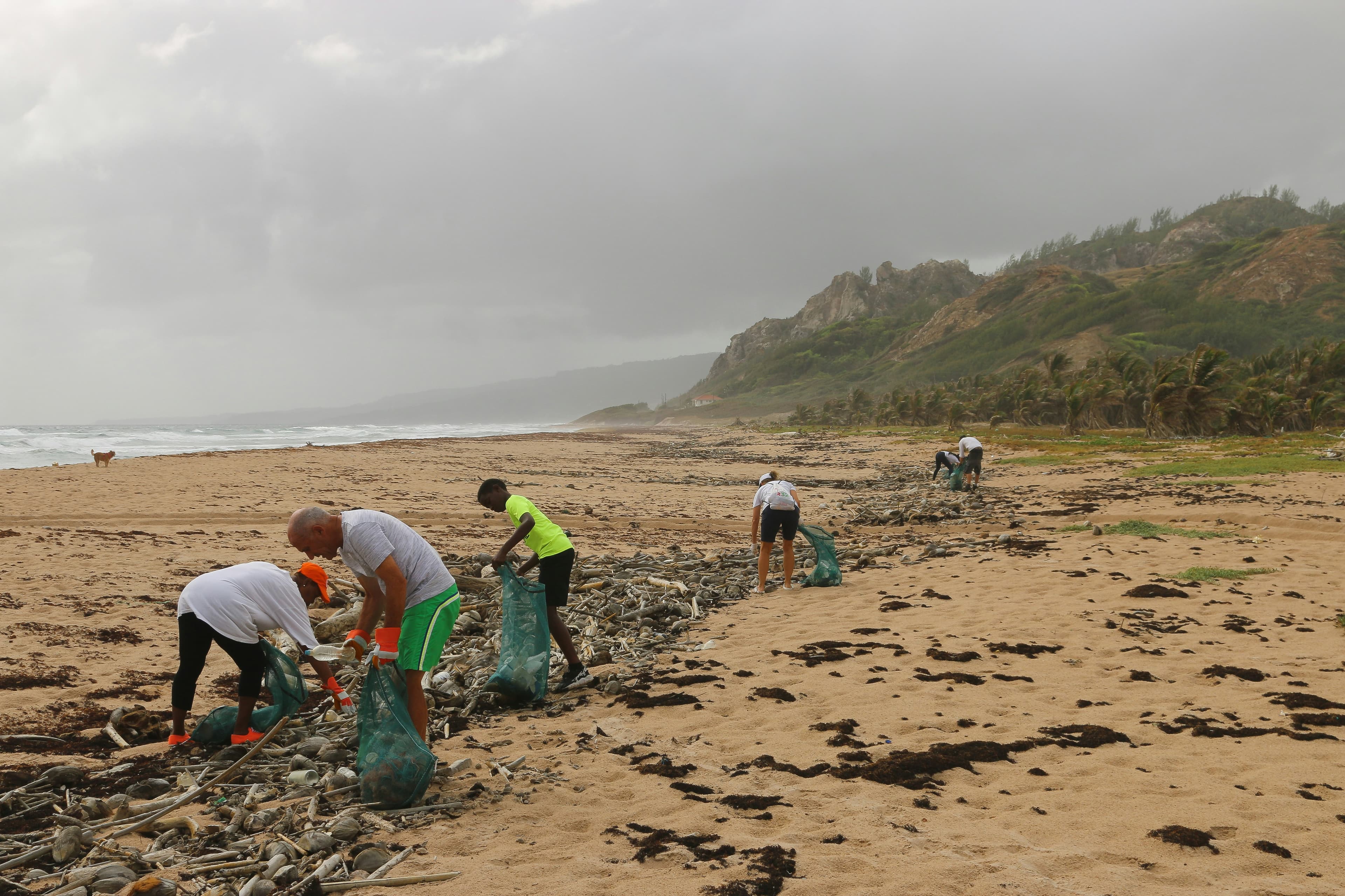 Saturday Beach Cleanup Crew